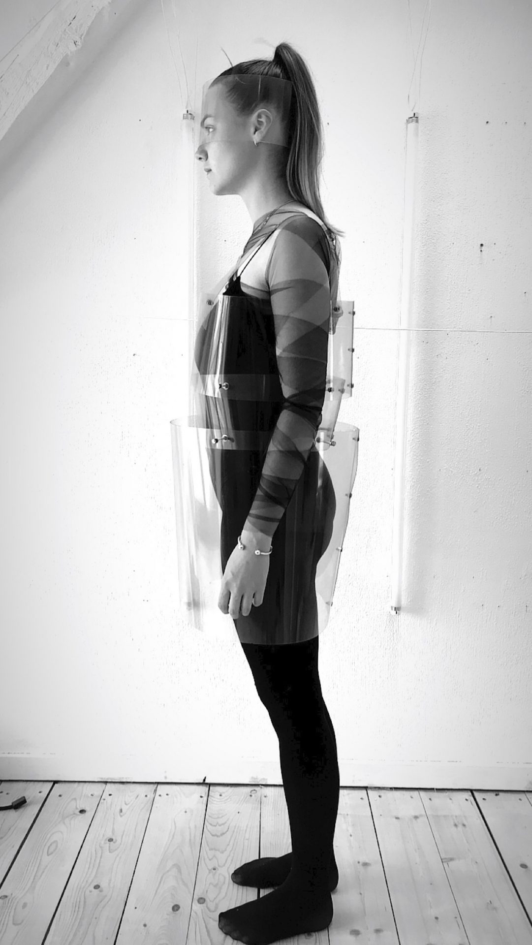 Lisa Puschmann | Mistrust